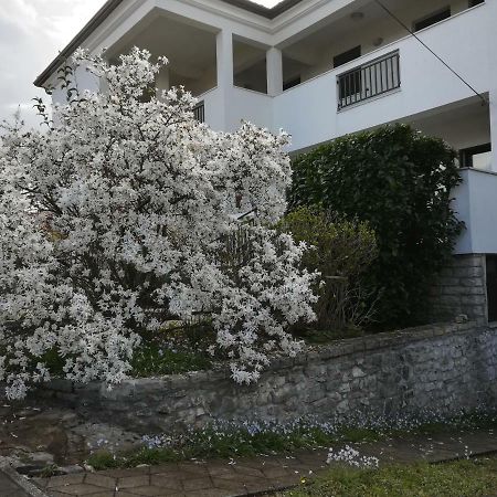 Stella Marina Apartment Umag Exterior photo